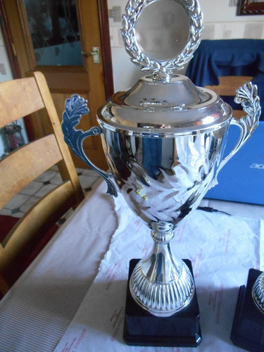 Silver presentation cup - silver, lined