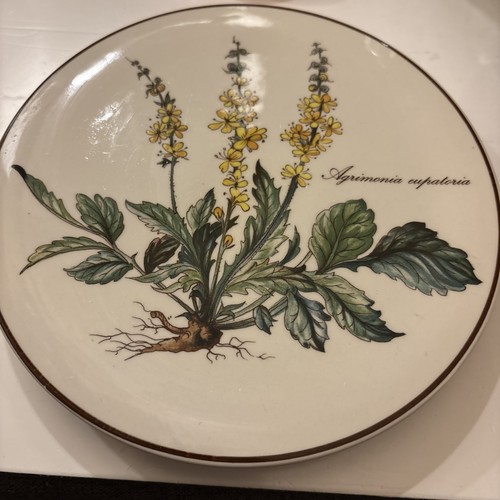 Villeroy boch botanica pot - villeroy,