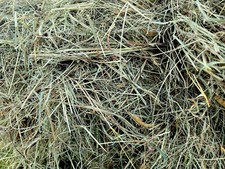 18kg gorgeous natural meadow - gorgeous,