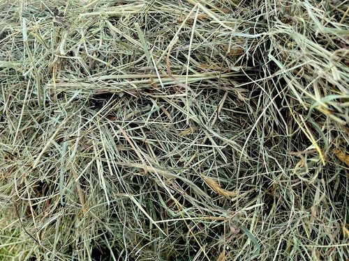 18kg gorgeous natural meadow - 18kg,