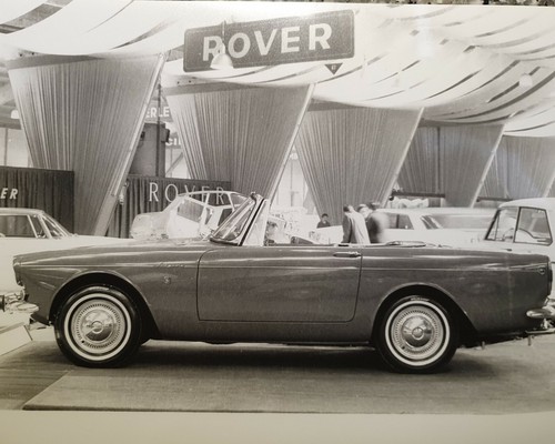 Sunbeam tiger photograph - sunbeam,
