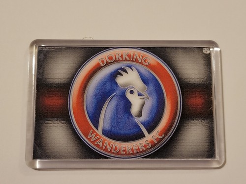 Dorking wanderers football - dorking,