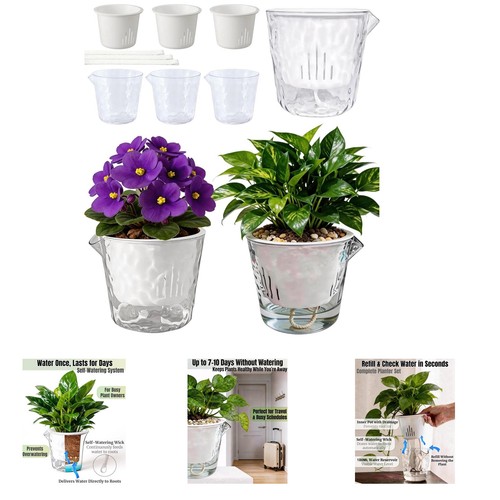 Pack clear self watering - clear,
