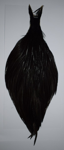 Genetic natural black cock - natural,