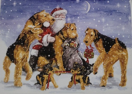 Busted airedale terrier - airedale,