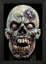 Zombie Skull Prop Framed Wall