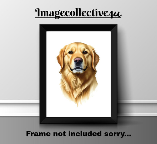 Golden retriever print - golden,