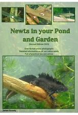 Newts In Your Pond And Garden