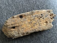 FLAT CHARACTER DRIFTWOOD Beach Art Craft Large Sea Hole Shelf Sign Boat