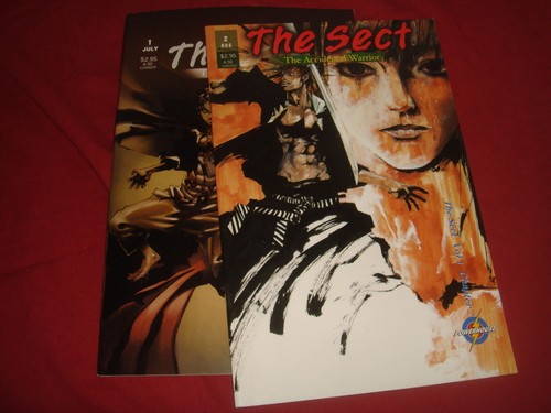 The sect accidental - sect, warrior
