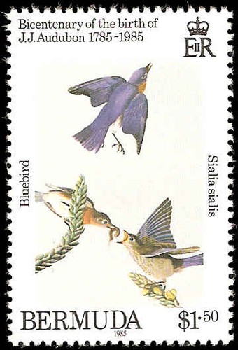 Bermuda 465 468 set mnh - set,