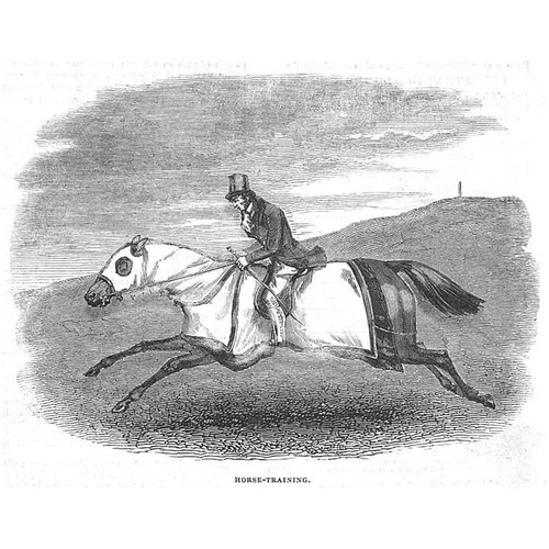 Horse training antique - horse,