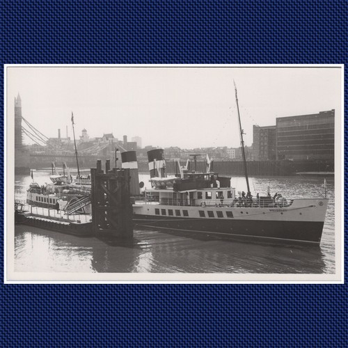 Waverley paddle steamer - waverley,