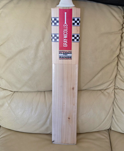 Graynicolls bat adult - bat,