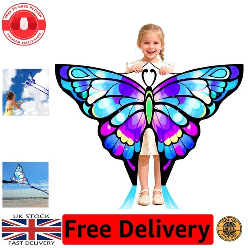 Stunning purple butterfly kite - purple,