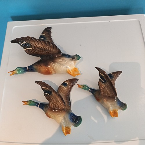 Original jema flying ducks - flying,