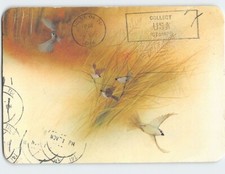 Postcard Birds Painting/Art