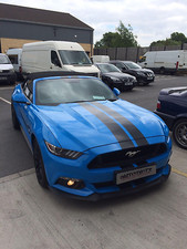 Mustang GT Viper Convertible Stripe Kit/ Graphics Kit/ Decal