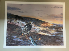 20" x 26" Limited Edition Joseph Orr Signed Print /400 Red Tail Hawk
