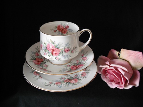 Royal standard rambling rose - royal,
