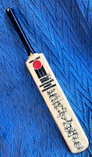 World series mini cricket - world,