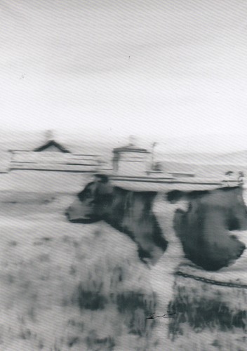 Postcard gerhard richter - gerhard,