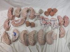 Large Lot of 30 Piece Life