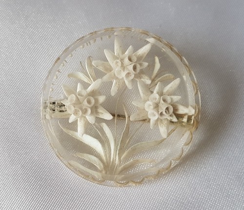 Brooch reverse carved clear - carved,