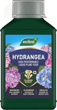 Hydrangea High Performance