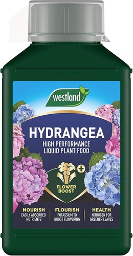 Hydrangea high performance - hydrangea,