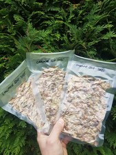 *2025 HARVEST* BRITISH GROWN 🇬🇧 ORGANIC CASCADE HOPS CONES BEER HOMEBREW 50G
