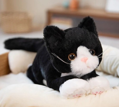 Black white kitten cat inch - white,