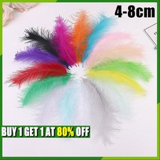 100X Small Fluffy Swan