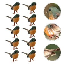 10Pcs Craft Feather Robin Bird