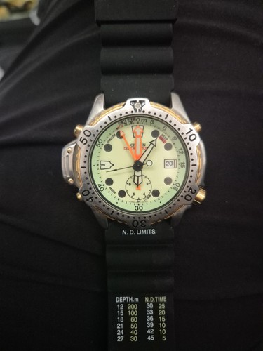 Rare citizen promaster - rare,