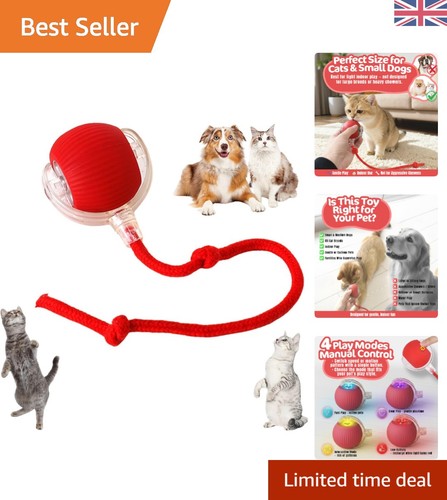 Versatile smart pet toy ball - versatile,