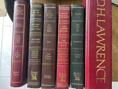 Job lot mixed novels - lot,