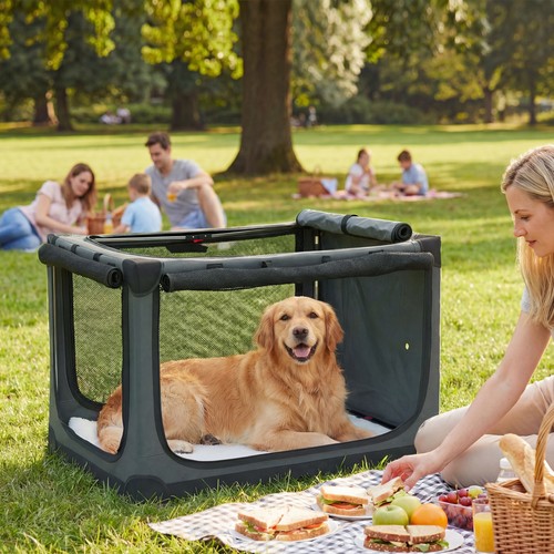 Collapsible dog crate - collapsible,