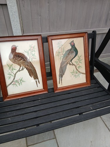 Two antique framed - two, feather