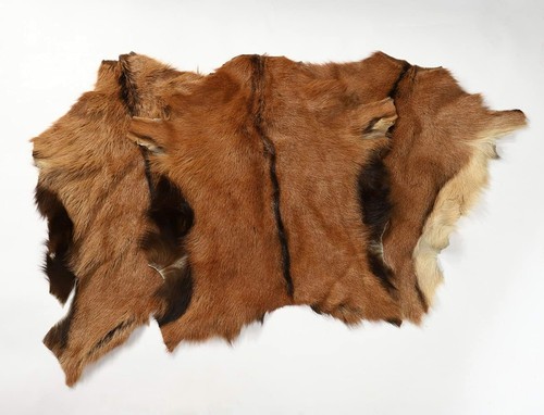 Pieces real fur hide goat - hide,
