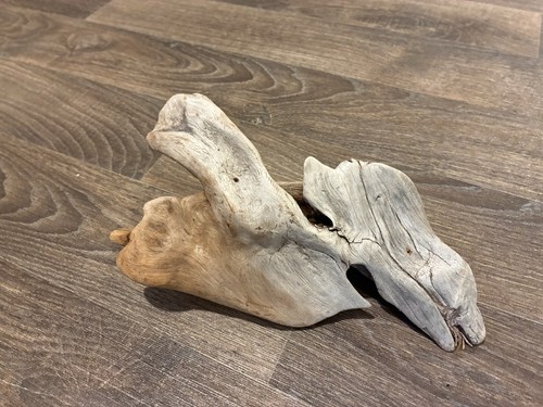 Driftwood piece chunk - piece,
