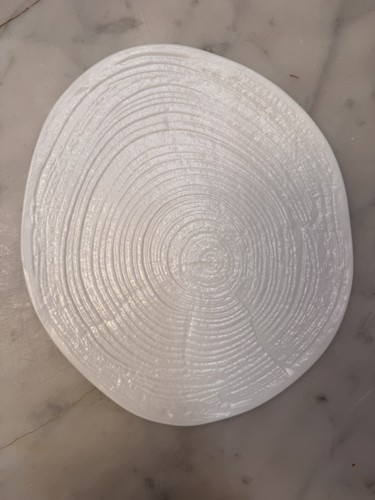Stunning restaurant plate - , 24