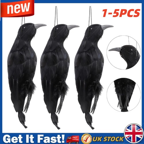 Lifesize extra large - 1-5x,