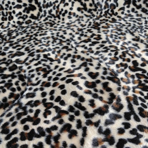 Meters baby snow leopard - 4,