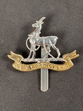 Royal Warwickshire Regiment Anodised (Staybrite) Cap Badge - Post WW2