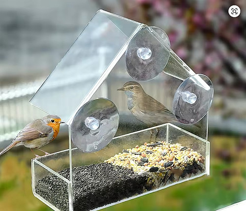 Transparent window feeder - window,