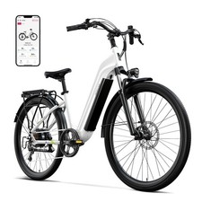 Peak 1000W Electric Bicycle