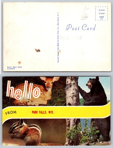 Vintage hello from park - park, falls
