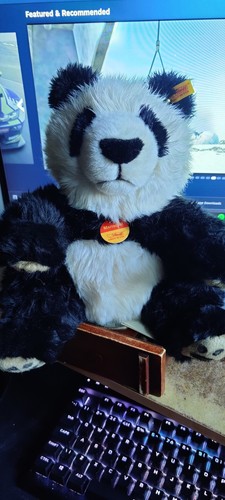 Steiff manschli panda - panda, bear