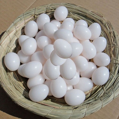 20pcs plastic fake - 5/10/20pcs, pigeon
